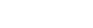 Cryptantha flava: Yellow Cryptantha